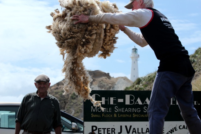 Shearing competition